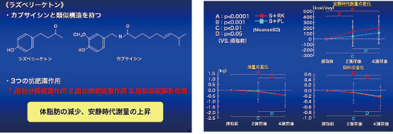 NARLSONICとラズベリーケトン併用によるヒトへの抗肥満作用に関する研究に関するデータ