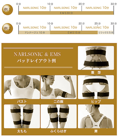 ナールピースリム使用例