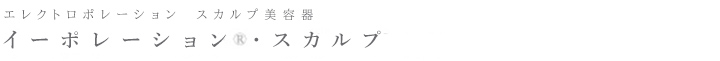 個人用エレクトロポレーション スカルプ美容器